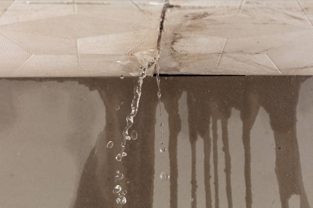 Professional Flood Damage Cleanup technician working in Halltown, MO